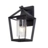 Darmo Anthracite Outdoor Wall Light