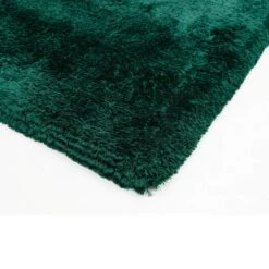 Plush Shaggy Emerald 120cm X 170cm Rug 8 Plush Shaggy Emerald 120cm X 170cm Rug -Housing Units Furniture Store 2084caa678aabbbaf7bd5f1c5d8b055f 1