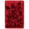Plush Shaggy Red 140cm X 200cm Rug