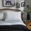 The Fine Bedding Company Silky Soft Pillow