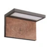 Ruka Outdoor Wall Light