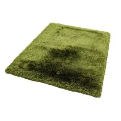 Plush Shaggy Green 160cm X 230cm Rug -Housing Units Furniture Store 3d451606e7cca1783ced273fad12240a 3