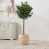 Large Cream Fibrestone Bobble Planter