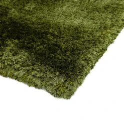 Plush Shaggy Green 160cm X 230cm Rug -Housing Units Furniture Store 4e4026ed4be132dc0a8cc34554060f9b 3