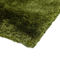 Plush Shaggy Green 200cm X 300cm Rug -Housing Units Furniture Store 4e4026ed4be132dc0a8cc34554060f9b 4