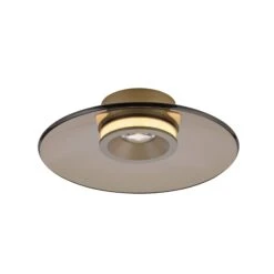 Luna Bronze & Dark Amber Glass 32cm Flush Ceiling And Wall Light 11 Luna Bronze & Dark Amber Glass 32cm Flush Ceiling And Wall Light -Housing Units Furniture Store 50af73ddaede92e1167b2614e7817292