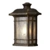 Riella Black & Gold Outdoor Wall Lantern