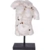 Libra Male Torso On Stand