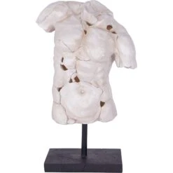 Libra Male Torso On Stand