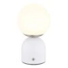 Mystic White Opal Table Lamp