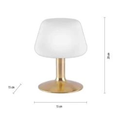 Till Gold Touch Table Lamp -Housing Units Furniture Store 968cae2fa767e5d2909b7f460d6095f1