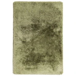 Plush Shaggy Sage 200cm X 300cm Rug