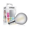 Frosted 4W Warm White E14 LED Bulb