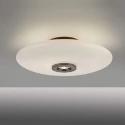 Verre Dark Brown & Opal Glass Flush Ceiling And Wall Light -Housing Units Furniture Store fefd2a888a07eeffcf8a695090ad06f5